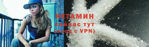 прущие грибы Вяземский