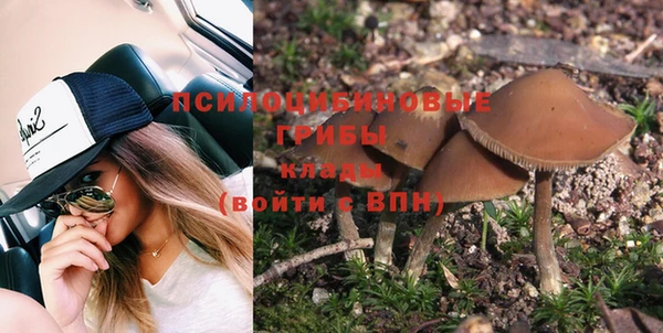 прущие грибы Вяземский