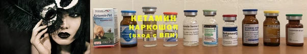 прущие грибы Вяземский