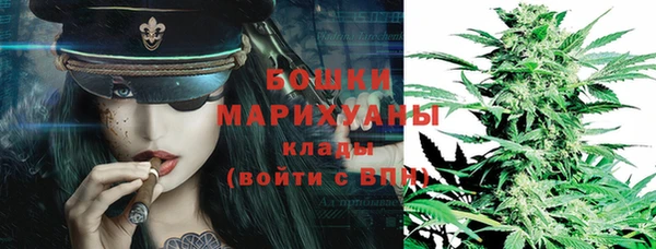 прущие грибы Вяземский