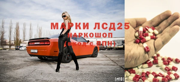 прущие грибы Вяземский