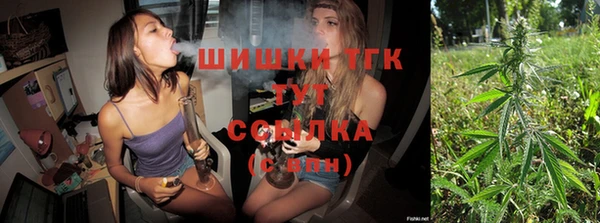 прущие грибы Вяземский