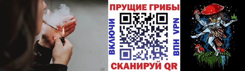 Псилоцибиновые грибы Cubensis  Ивантеевка 